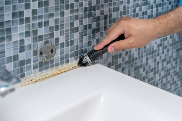Best Mold Remediation Experts  in Mount Airy, GA